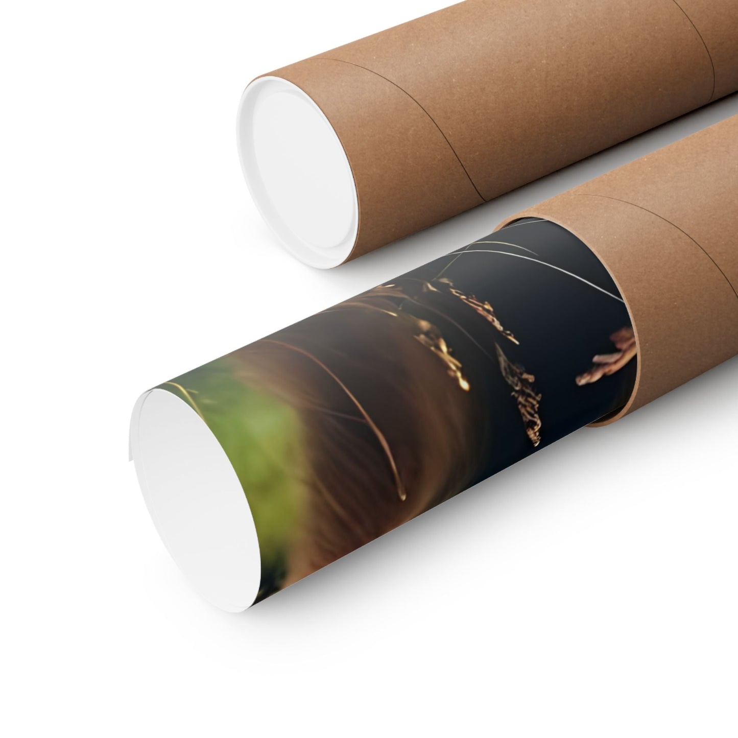 Highland Cow Matte Vertical Posters
