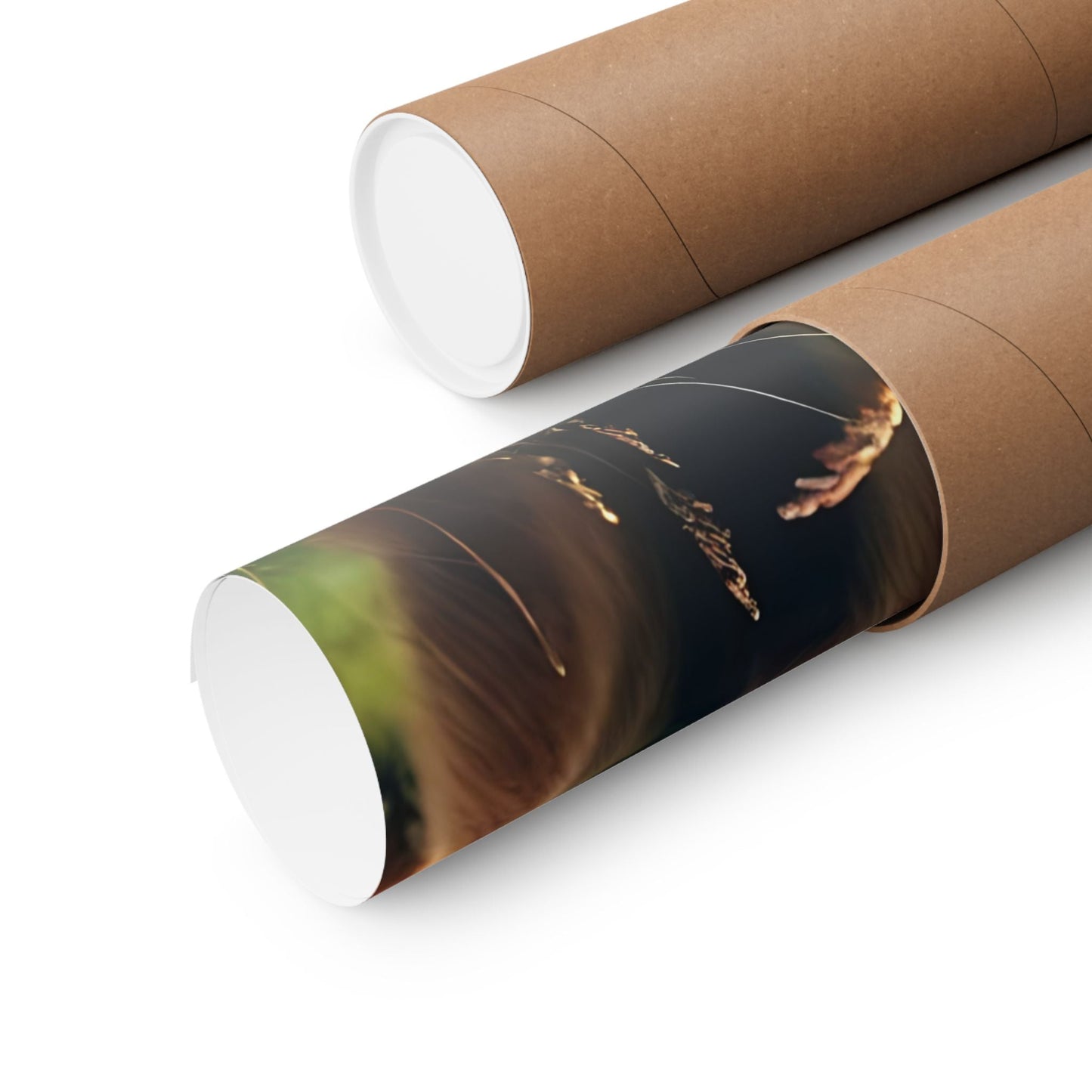 Highland Cow Matte Vertical Posters